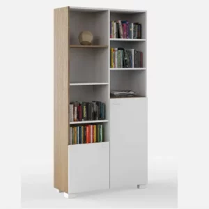 Bibliotheque Moderne